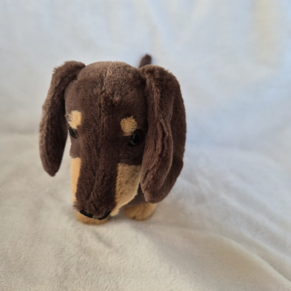 Jellycat Otto Sausage Dog Size Medium Nwt